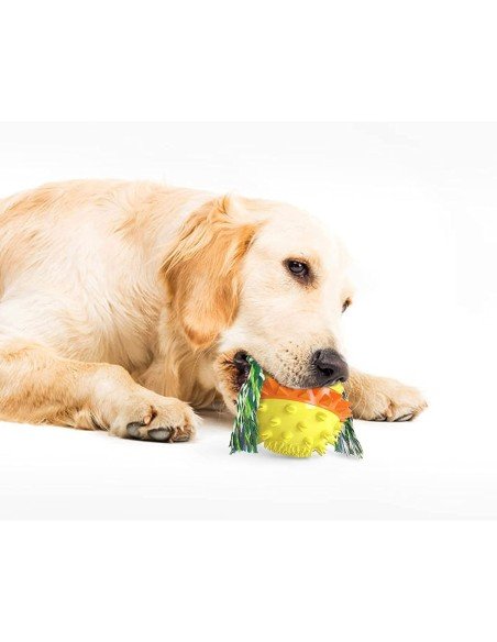 ⭐ Juguete Bola Premio Grande Interactivo Limpia dientes perro agresivo