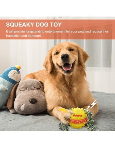 ⭐ Juguete Bola Premio Grande Interactivo Limpia dientes perro agresivo