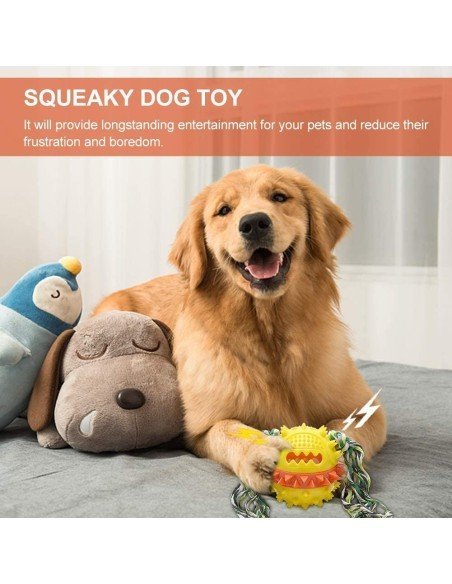 ⭐ Juguete Bola Premio Grande Interactivo Limpia dientes perro agresivo