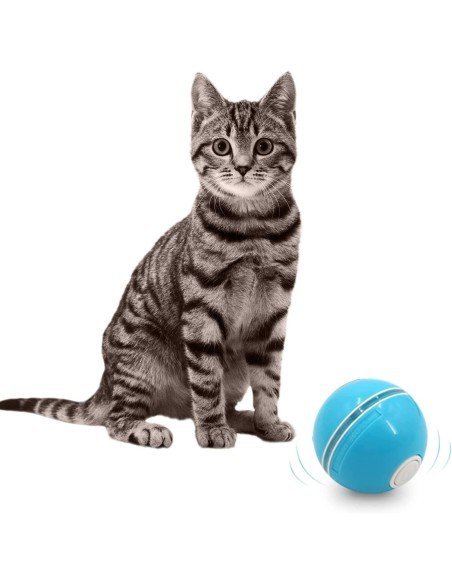 ⭐ Juguete Bolas suave interactiva con sonido Mascota Gato