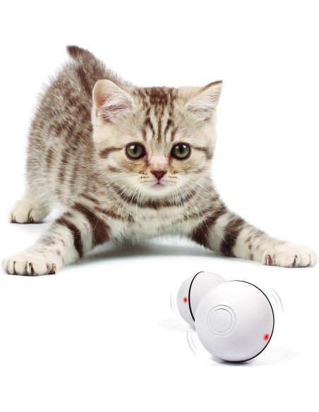 ⭐ Juguete Bolas suave interactiva con sonido Mascota Gato
