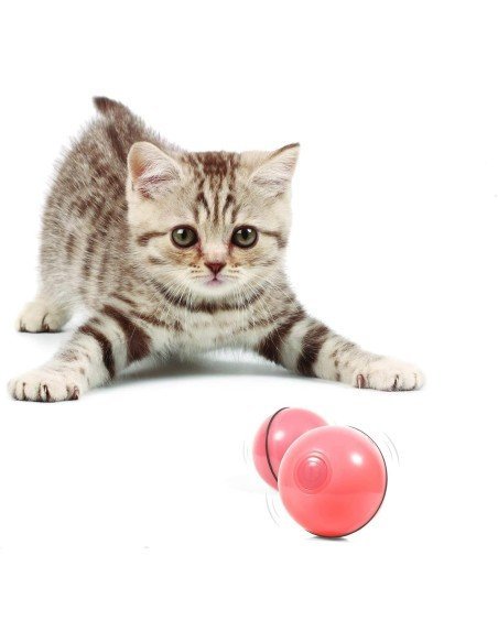 ⭐ Juguete Bolas suave interactiva con sonido Mascota Gato