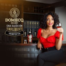⭐ Brandy Domecq Reserva 8 Años 750 ML