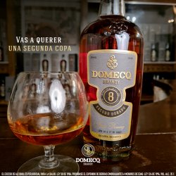 ⭐ Brandy Domecq Reserva 8 Años 750 ML