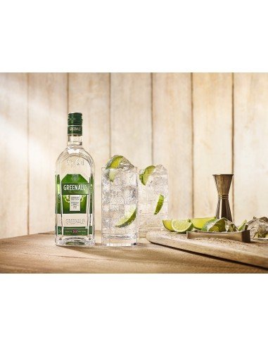 ⭐  Ginebra Greenall´s 750 ML