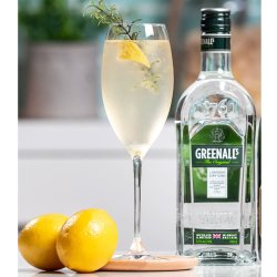 ⭐  Ginebra Greenall´s 750 ML