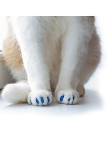 Set x100 Protectores de Uñas Mascota Nails Caps en colores