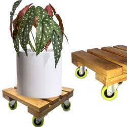 ⭐ Base con Ruedas para Matera soporte cuadrado Madera 20x20cm