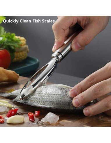 ⭐ Descamador De Pescado Pelador Escamas Acero Inox