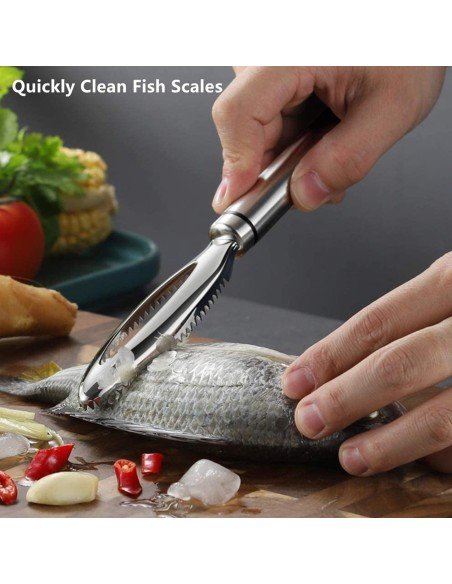 ⭐ Descamador De Pescado Pelador Escamas Acero Inox