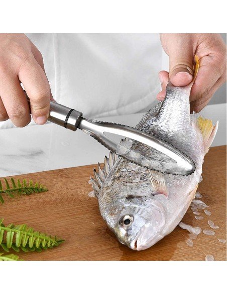 ⭐ Descamador De Pescado Pelador Escamas Acero Inox
