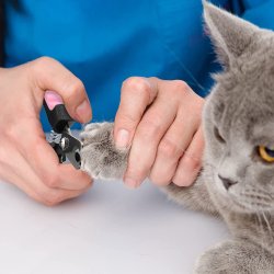 Pinza Corta Uñas para gatos y Mascotas tipo tijera profesional