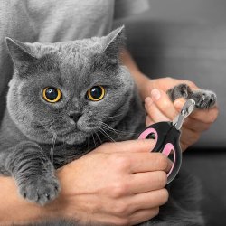 Corta Uñas Pet Perros y Mascotas tipo tijera para mascotas