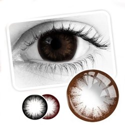 Lentes Big Choco Big Eyes | Mirada cálida