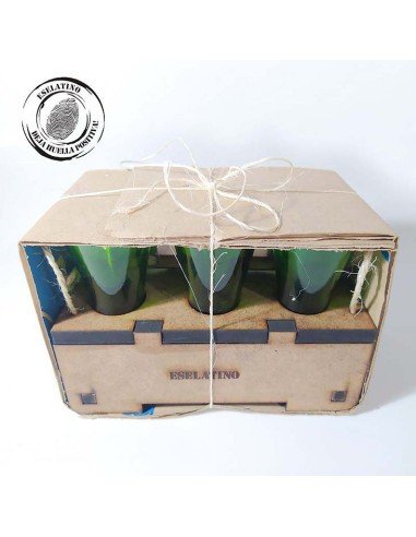 ⭐ Setx6 Copas Botellas recicladas Ecológicoo EseLatino .