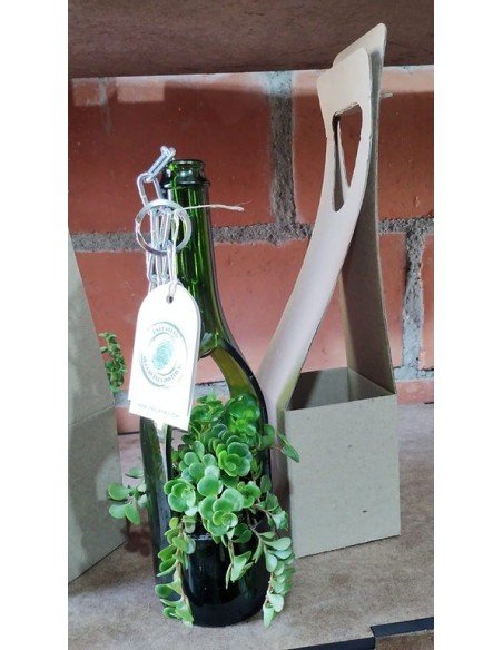 ⭐ Matera Colgante Suculenta Matero Vidrio Reciclado eseLatino !! ⭐ Matera Colgante Suculenta Matero Vidrio Reciclado eseLatino !!