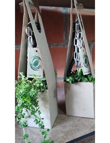 ⭐ Matera Colgante Suculenta Matero Vidrio Reciclado eseLatino !!