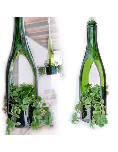 ⭐ Matera Colgante Suculenta Matero Vidrio Reciclado eseLatino !!
