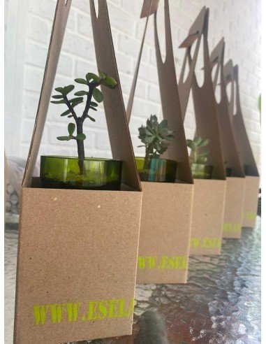 ⭐ Maceta Suculenta Matero Vidrio Reciclado eseLatino !!