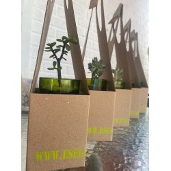 ⭐ Maceta Suculenta Matero Vidrio Reciclado eseLatino !!