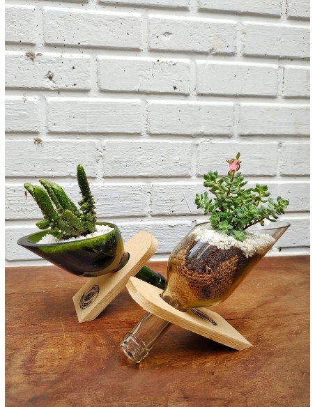 ⭐ Maceta Suculenta Matero Vidrio Reciclado eseLatino !!