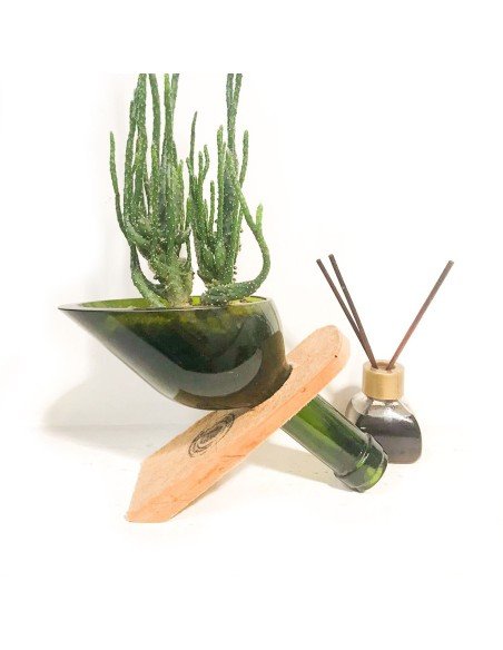 ⭐ Maceta Suculenta Matero Vidrio Reciclado eseLatino !!