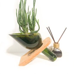 ⭐ Maceta Suculenta Matero Vidrio Reciclado eseLatino !!