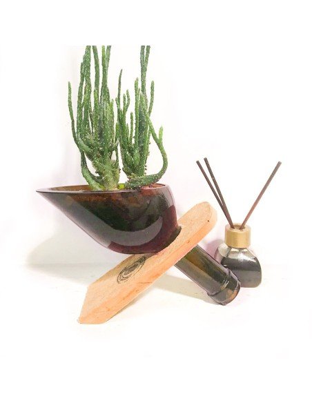 ⭐ Maceta Suculenta Matero Vidrio Reciclado eseLatino !!