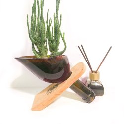 ⭐ Maceta Suculenta Matero Vidrio Reciclado eseLatino !!