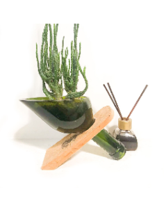 ⭐ Maceta Suculenta Matero Vidrio Reciclado eseLatino !!