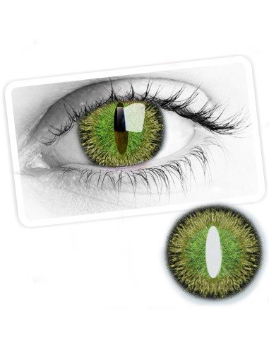 ⭐ Lentes Halloween Cat Dragón Choco Crazy Lens FX