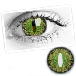 ⭐ Lentes Halloween Cat Dragón Choco Crazy Lens FX