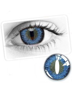 ⭐ Lentes Halloween Cat Dragón Creepers Crazy