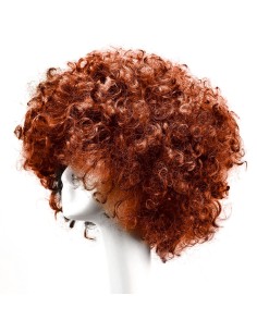 ⭐ Peluca Afro de Fantasía Café 2