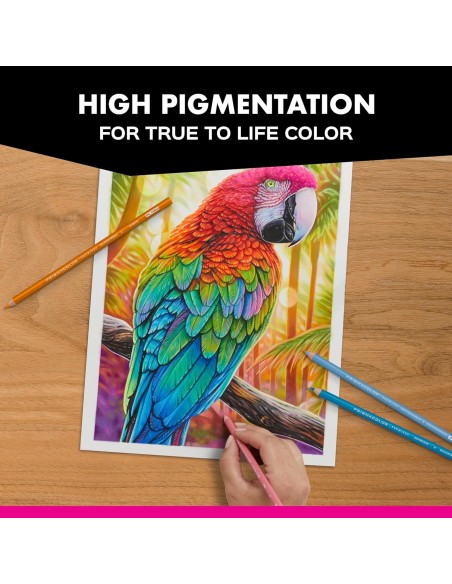⭐ Prismacolor Premier Juego de 132 Unidades. Caja de Lápices de Colores