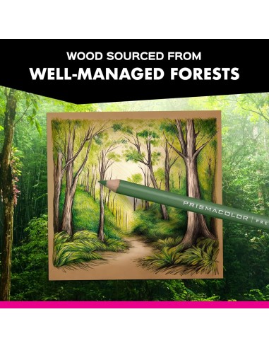 ⭐ Prismacolor Premier Juego de 132 Unidades. Caja de Lápices de Colores