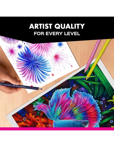⭐ Prismacolor Premier Juego de 132 Unidades. Caja de Lápices de Colores