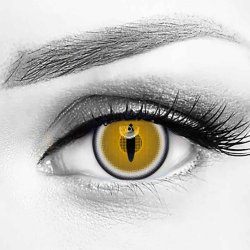 ⭐ Crazy Demon Slayer FX Nubla Bloquea Visión