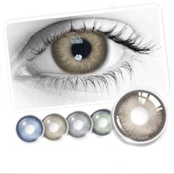 Lentes Sydney Big Eyes | Color Inspiración y amplitud