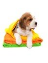 Toalla de Microfibra ultra absorbente para Baño de Mascotas