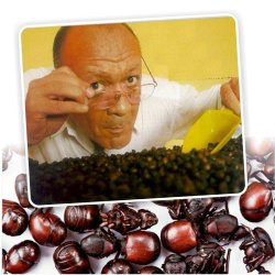 Hormigas Culonas Santandereanas Tostadas 1 Kilo