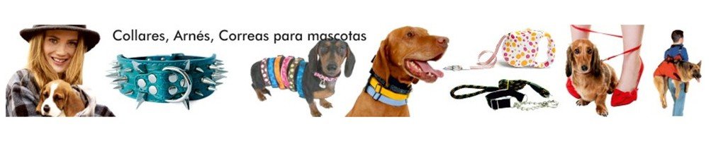 Pasea tu perro con Correas para mascotas