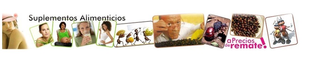 Hormigas Culonas Santandereanas | Snack Exótico Colombiano