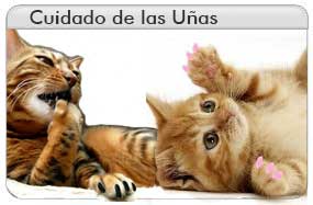 Cuidado de las U&ntilde;as