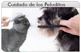 Cuidado del Pelo