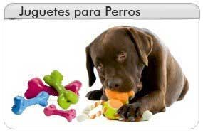 Diversi&oacute;n para tu Perro