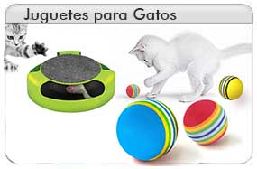 Diversi&oacute;n para tu Gato