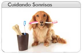 Sonrisa de mascotas