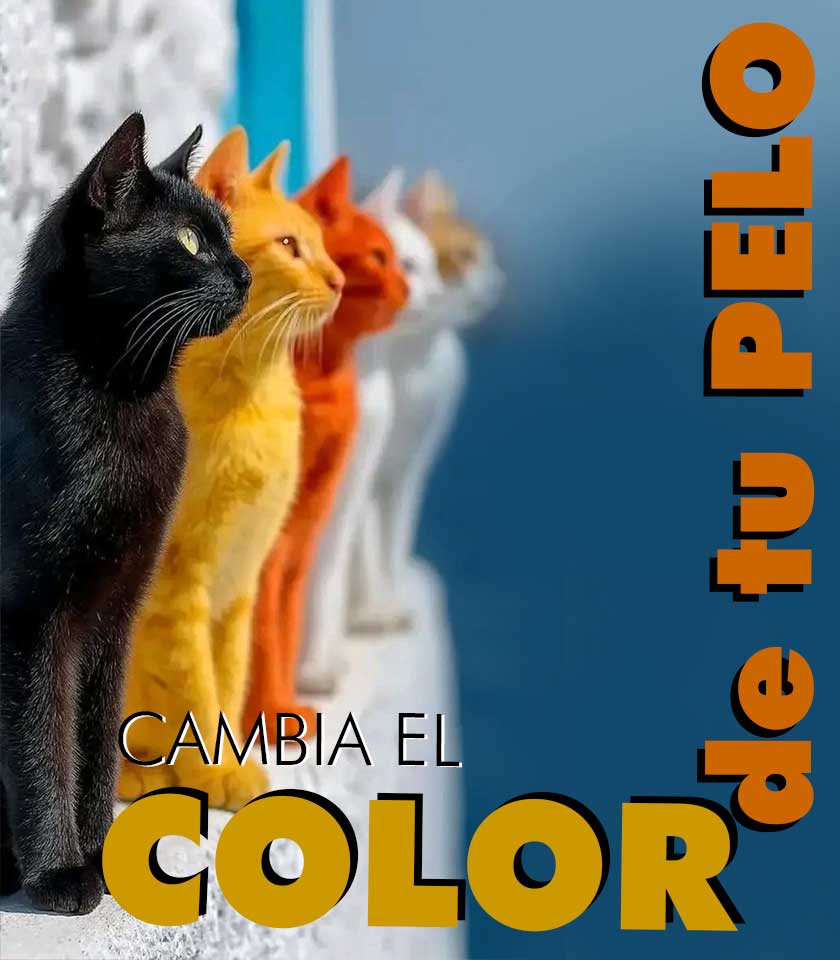 Tiza y tinte temporal para el pelo en Colores